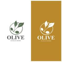 olive logo olive pétrole Facile conception conception vecteur