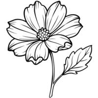 cosmos fleur plante contour illustration coloration livre page conception, cosmos fleur plante noir et blanc ligne art dessin coloration livre pages pour les enfants et adultes vecteur