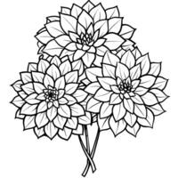 dahlia fleur bouquet contour illustration coloration livre page conception, dahlia fleur bouquet noir et blanc ligne art dessin coloration livre pages pour les enfants et adultes vecteur