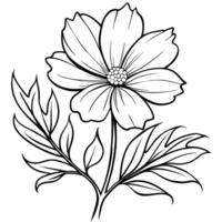 cosmos fleur plante contour illustration coloration livre page conception, cosmos fleur plante noir et blanc ligne art dessin coloration livre pages pour les enfants et adultes vecteur