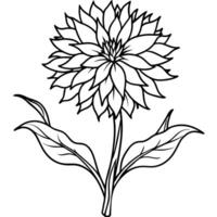 bleuet fleur plante contour illustration coloration livre page conception, bleuet fleur plante noir et blanc ligne art dessin coloration livre pages pour les enfants et adultes vecteur