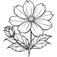 cosmos fleur plante contour illustration coloration livre page conception, cosmos fleur plante noir et blanc ligne art dessin coloration livre pages pour les enfants et adultes vecteur