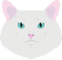 turc angora chat isolé sur blanc Contexte illustration vecteur