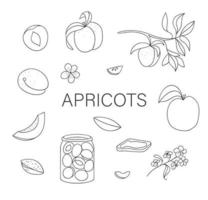 vecteur ensemble noir et blanc d'abricots mignons dessinés à la main, tarte aux abricots, fleurs, pot de confiture. illustration monochrome de la récolte d'automne. thème de la nourriture faite maison.