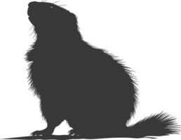 silhouette marmotte animal noir Couleur seulement plein corps vecteur