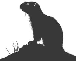 silhouette marmotte animal noir Couleur seulement plein corps vecteur