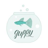 illustration vectorielle de poisson dans l'aquarium avec lettrage de nom de poisson. jolie photo de guppy pour animalerie ou illustration pour enfants vecteur