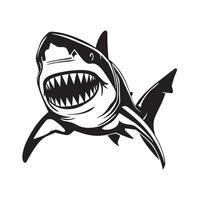 gros à pleines dents requin illustration sur une blanc Contexte vecteur