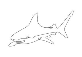 requin poisson dans un continu ligne dessin numérique illustration vecteur