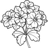 géranium fleur bouquet contour illustration coloration livre page conception, géranium fleur bouquet noir et blanc ligne art dessin coloration livre pages pour les enfants et adultes vecteur