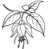 fuchsia fleur plante contour illustration coloration livre page conception, fuchsia fleur plante noir et blanc ligne art dessin coloration livre pages pour les enfants et adultes vecteur