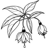 fuchsia fleur plante contour illustration coloration livre page conception, fuchsia fleur plante noir et blanc ligne art dessin coloration livre pages pour les enfants et adultes vecteur