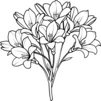 freesia fleur bouquet contour illustration coloration livre page conception, freesia fleur bouquet noir et blanc ligne art dessin coloration livre pages pour les enfants et adultes vecteur