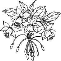 fuchsia fleur bouquet contour illustration coloration livre page conception, fuchsia fleur bouquet noir et blanc ligne art dessin coloration livre pages pour les enfants et adultes vecteur