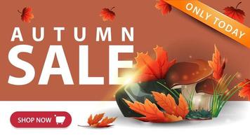 vente d'automne, bannière de remise orange moderne avec bouton, champignons et feuilles d'automne vecteur