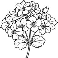 géranium fleur bouquet contour illustration coloration livre page conception, géranium fleur bouquet noir et blanc ligne art dessin coloration livre pages pour les enfants et adultes vecteur