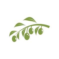 olive icône illustration conception modèle vecteur