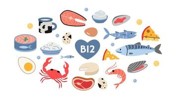 meilleur sources de vitamine b12 nourriture, dessin animé style. mer nourriture, poisson, Viande, laitier des produits et des œufs ensemble. isolé illustration, main dessiné, plat conception vecteur