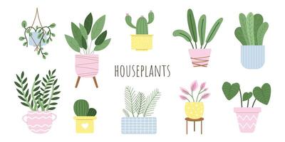 plantes d'intérieur ensemble. mis en pot cactus, succulentes, Urbain jungle plante intérieur décorations ensemble. illustration avec blanc isolé Contexte. vecteur