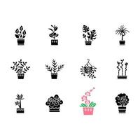 icônes de glyphe noir de plantes d'intérieur sur un espace blanc. Plantes d'intérieur. ficus, monstera, violette africaine, bambou porte-bonheur. lis de la paix, pothos, palmier de salon. symboles de silhouette. illustration vectorielle isolée vecteur