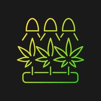 icône de vecteur de gradient de culture de cannabis pour le thème sombre. faire pousser des herbes sous lumière artificielle. germination des graines de marijuana. symbole de couleur de ligne mince. pictogramme de style moderne. dessin de contour isolé de vecteur