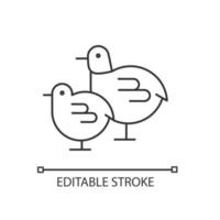 icône linéaire de poussins. petits oiseaux nouveau-nés moelleux. bébé poulet jaune. l'élevage. illustration personnalisable de fine ligne. symbole de contour. dessin de contour isolé de vecteur. trait modifiable vecteur