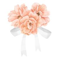 aquarelle Rose fleurs dans pastel pêche rose couleurs avec blanc ruban. floral illustration pour mariage invitations ou salutation cartes sur isolé Contexte. botanique composition pour icône ou logo vecteur