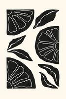 moderne monochrome abstrait affiche avec Couper agrumes des fruits et feuilles dans matisse style. branché modèle pour intérieur décoration, bannière, couverture, imprimer, carte postale. vecteur