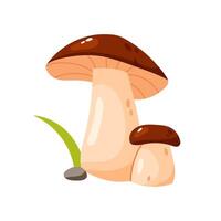 mignonne dessin animé illustration de une champignon vecteur