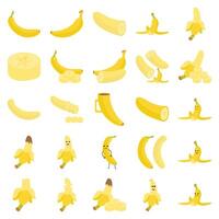 illustration de banane pack vecteur