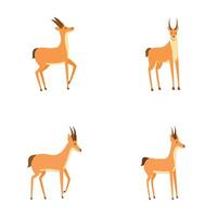 mignonne gazelle Icônes ensemble dessin animé . africain sauvage noir à queue gazelle vecteur