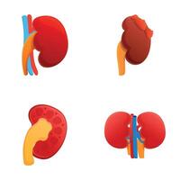 chronique maladie Icônes ensemble dessin animé . Humain un rein modèle avec maladie vecteur