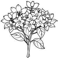 jasmin fleur bouquet contour illustration coloration livre page conception, jasmin fleur bouquet noir et blanc ligne art dessin coloration livre pages pour les enfants et adultes vecteur