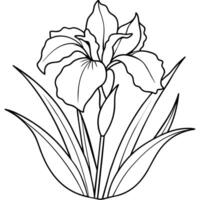 iris fleur plante contour illustration coloration livre page conception, iris fleur plante noir et blanc ligne art dessin coloration livre pages pour les enfants et adultes vecteur