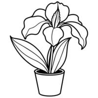 iris fleur plante contour illustration coloration livre page conception, iris fleur plante noir et blanc ligne art dessin coloration livre pages pour les enfants et adultes vecteur