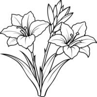 glaïeul fleur plante contour illustration coloration livre page conception, glaïeul fleur plante noir et blanc ligne art dessin coloration livre pages pour les enfants et adultes vecteur