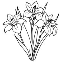 iris fleur bouquet contour illustration coloration livre page conception, iris fleur bouquet noir et blanc ligne art dessin coloration livre pages pour les enfants et adultes vecteur