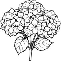 hortensia fleur bouquet contour illustration coloration livre page conception, hortensia fleur bouquet noir et blanc ligne art dessin coloration livre pages pour les enfants et adultes vecteur