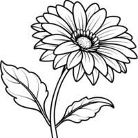 gerbera fleur plante contour illustration coloration livre page conception, gerbera fleur plante noir et blanc ligne art dessin coloration livre pages pour les enfants et adultes vecteur