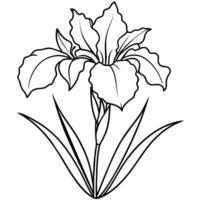 iris fleur plante contour illustration coloration livre page conception, iris fleur plante noir et blanc ligne art dessin coloration livre pages pour les enfants et adultes vecteur