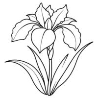 iris fleur plante contour illustration coloration livre page conception, iris fleur plante noir et blanc ligne art dessin coloration livre pages pour les enfants et adultes vecteur