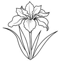 iris fleur plante contour illustration coloration livre page conception, iris fleur plante noir et blanc ligne art dessin coloration livre pages pour les enfants et adultes vecteur