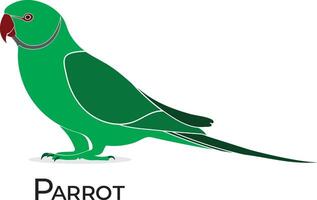 perroquet isolé sur blanc arrière-plan, vert vecteur