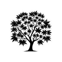silhouette de une érable arbre symbole de l'automne tomber vecteur