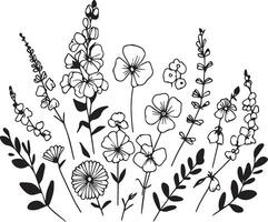 ensemble de avril naissance fleur sucré pois et Marguerite noir et blanc art imprimable, main tiré botanique illustration, magnifique sucré pois fleur avec feuilles ligne art plante branche botanique art vecteur