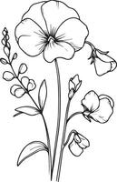 dessiné à la main botanique été éléments Naturel collection, sucré pois ligne art pour coloration page, réaliste fleur coloration pages, humide pois fleur contour, sucré noir tatouage, vecteur