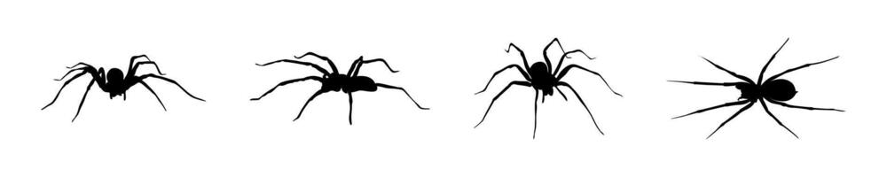 araignée silhouette. araignée Icônes. araignée illustration vecteur