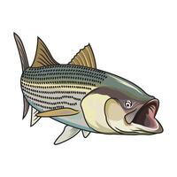 rayé basse pêche illustration logo image t chemise vecteur