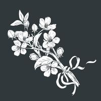 Arbre en fleurs. Bouquet de branches de fleurs botaniques dessinés à la main sur fond noir. Illustration vectorielle vecteur