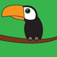 oiseau toucan sur une branche vecteur